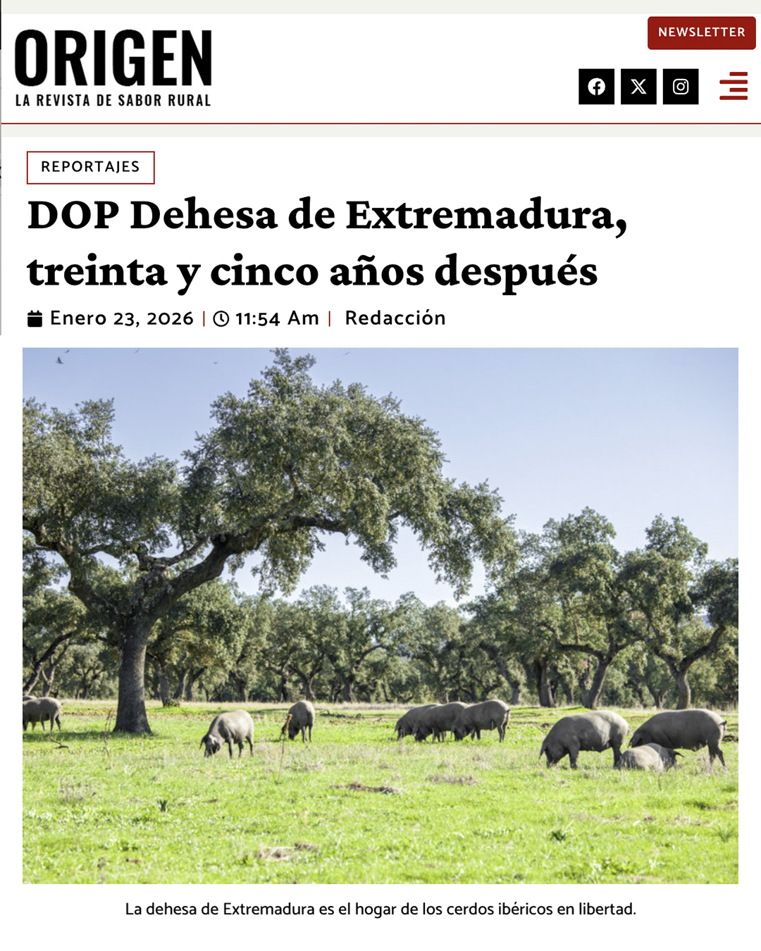 DOP Dehesa de Extremadura, treinta y cinco años después